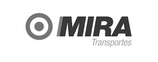 Logo 13